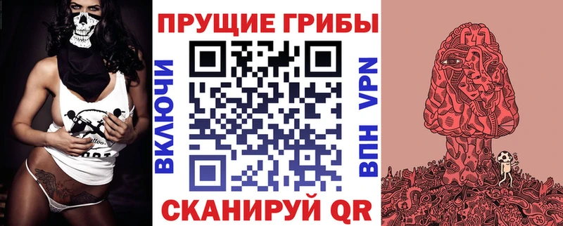 как найти наркотики  Саранск  Галлюциногенные грибы Psilocybe 
