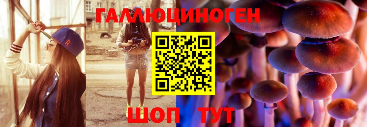Галлюциногенные грибы Psilocybe Саранск