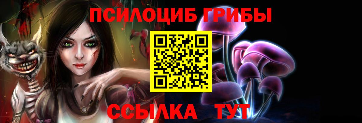Псилоцибиновые грибы мицелий  наркотики  Саранск  Вход с VPN 